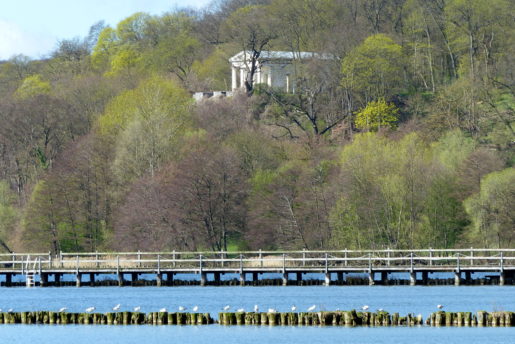 Tollensesee