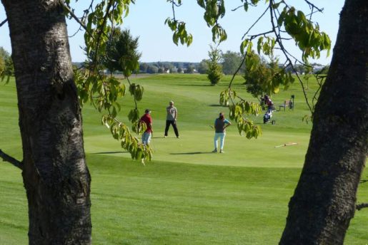 golfplatz-mecklenburg-strelitz-02