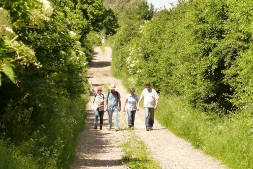 Wandern