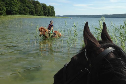 landhof-zur-meierei-reiten-tollensesee-02