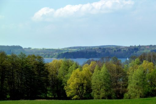 Veranstaltungen in Mecklenburg-Vorpommern