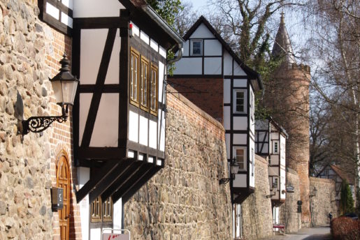 Special Guided Tours